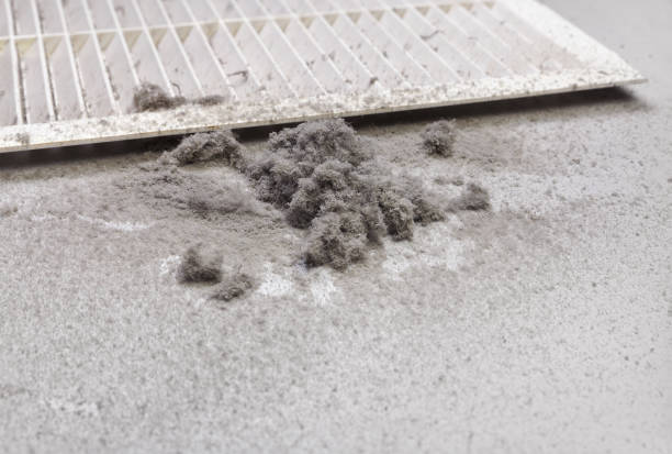 Best Professional Duct Cleaning Services  in Hrison, AR
