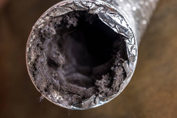 Best Dryer Vent Cleaning Services  in Hrison, AR