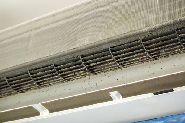 Best Ductwork Cleaning Services  in Hrison, AR